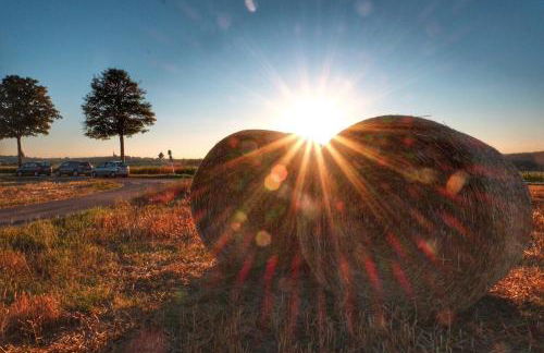 Altstadt Blieskastel, Gerbergasse - Photo 14
