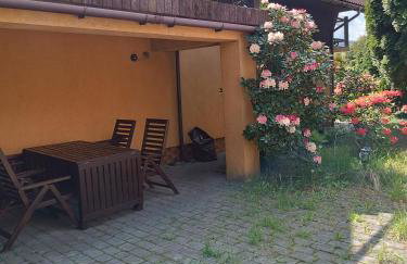 Agroturystyka Rudy Kocur Różana 24 Jaroszowice - Foto 5