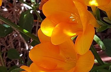 Figueres Center - Foto 47