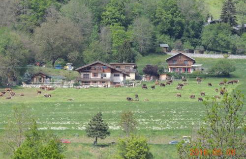 Gîte Les Grands Champs - Foto 68