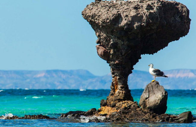 Visite de La Paz et de la plage Balandra - Photo 2