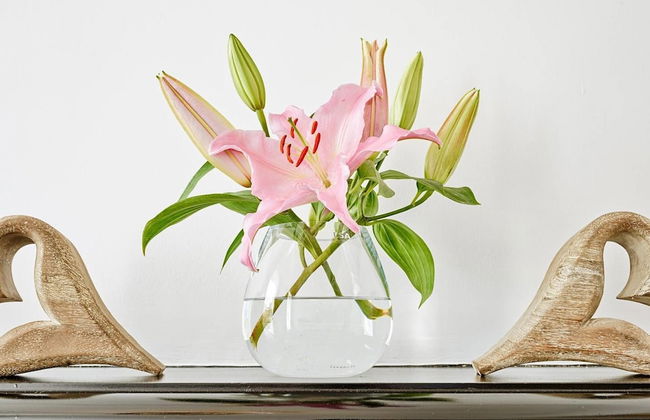 JOIVY Luxury George Street Apartments: Edinburgh Suite - Photo 22