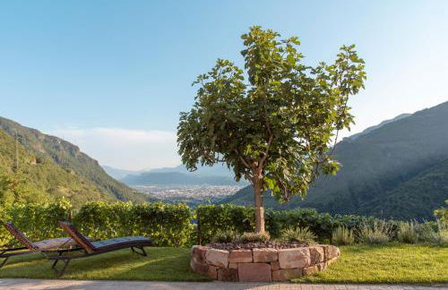 Langegger 1956 - Photo 1