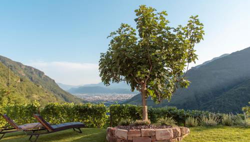 Langegger 1956 - Foto 1, Garden view