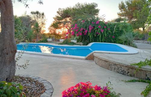 Al Marchello offline - Foto 6