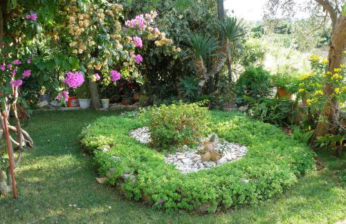 Apartments by the sea Ugljan - 8468 - Foto 6