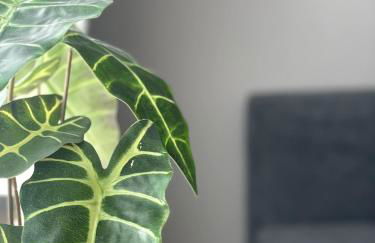 Eifeltraum Mendig, 3 Sterne, Ferienwohnung - Foto 37