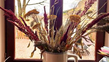 Le Plantier 1 - Foto 4