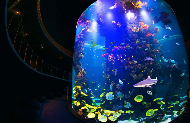 Gran Canaria Tour - Foto 3