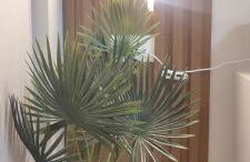 Soul II Soul Veria - Photo 30