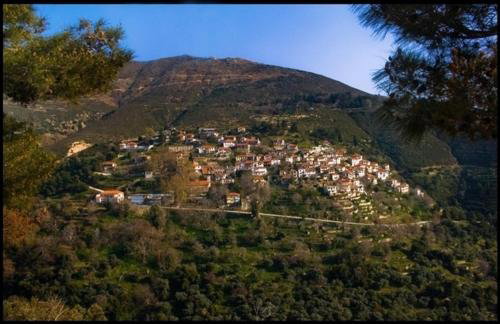 Smaragdi Luxury Apartments - Photo 10