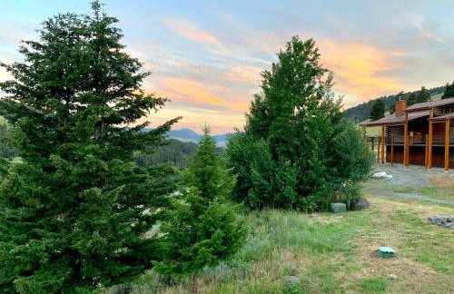 Mammoth Overlook Of Yellowstone - Foto 9