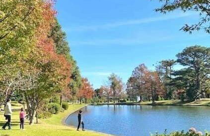 Fantástico Studio Royal Laje de Pedra MV (3022) - Foto 66