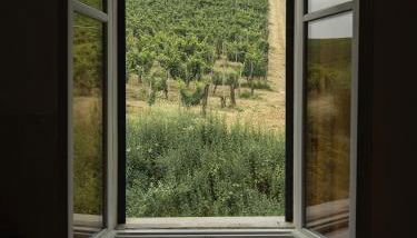 Guest House - Azienda Oddone Prati - Foto 4