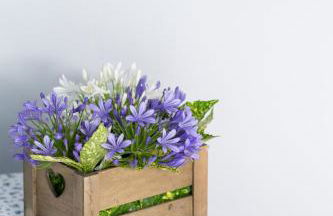 DUSSAIGA - La casa di Rina - Foto 39