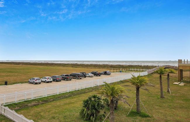 Skin and Bones - Foto 29