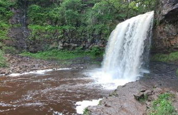 Elm Grove - Photo 11