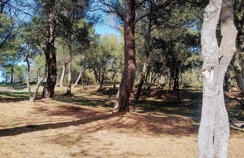 Gîte Lavande vue Luberon 33 hectares piscine Spa Sauna au cœur de Provence - Foto 26