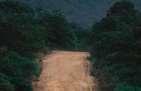 A nossa casa da arvore - Foto 34