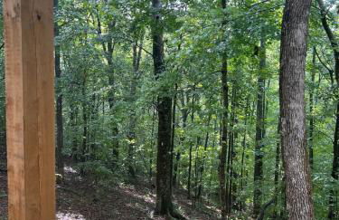 Turkey Creek Cabin Rentals #2 at Tims Ford lake - Foto 40