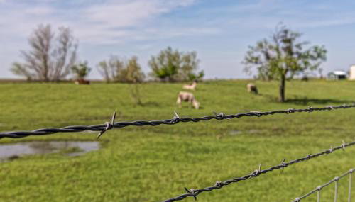 Silo House At Laughing Llama Farm - Foto 3