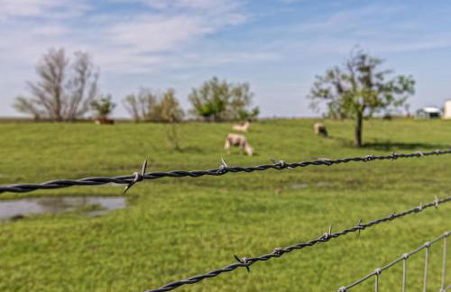 Silo House At Laughing Llama Farm - Foto 3