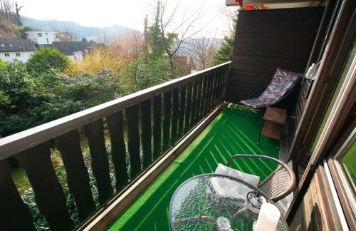 Gaishöll-Wasserfälle Apartment Schwarzwald - Foto 20