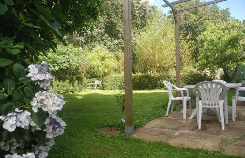 Ty Kergate - Foto 12