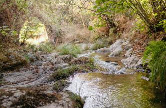 Serra Casa - Foto 10