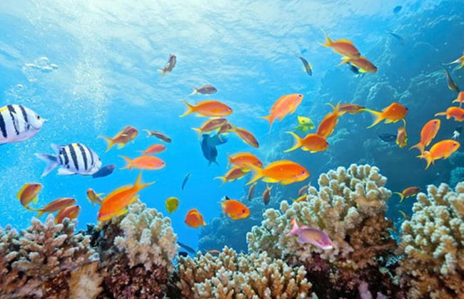 Belvilla by OYO La Perla de Andalucaa - Foto 23