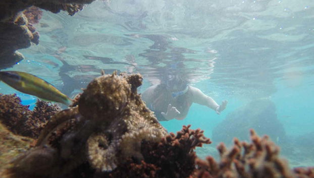 Snorkel en Porto Santo