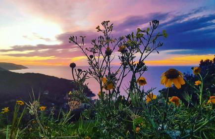 Appartamenti Scaglieri - Foto 4