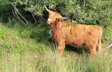 The Nest at Deneside - Foto 12