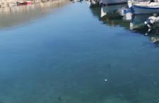 Molos Pine view - Photo 17