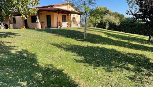 Tenuta Agave - Photo 5, Garden