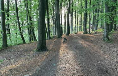 The Corner House - Foto 32