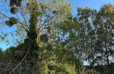 Serafina Cottage - Foto 30