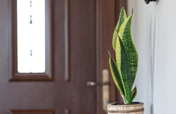 Athos View - Golden Fig Sykia lodge - Foto 7