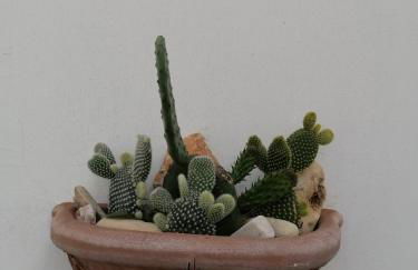 Casa Low Cost - Foto 63