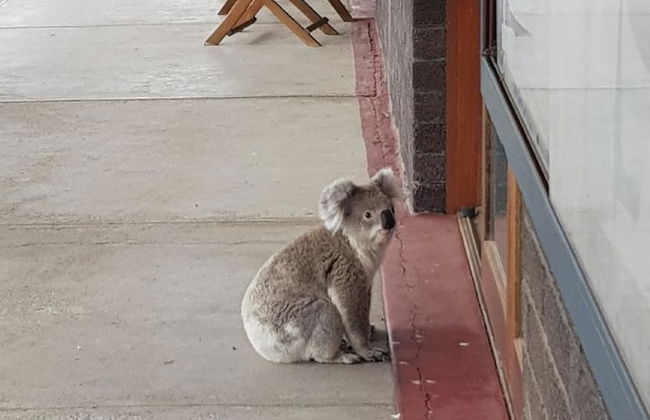 Holiday Lifestyle Henty Bay Portland - Foto 26