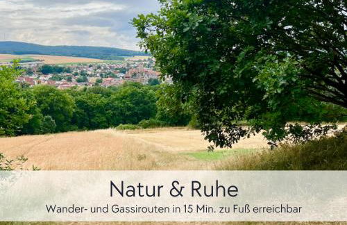 TÜRMERSTUBE - Apartment in der Hinterburg Schlitz - mit Aufzug, Parkplatz, E-Ladestation & Garten - Hunde willkommen - Foto 42