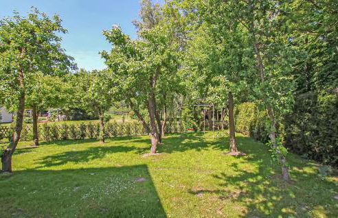 Ferienhaus Bartelshagen Ii - Foto 9