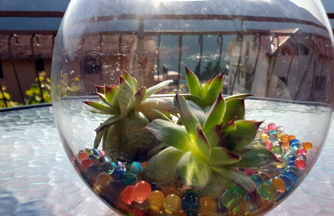 Apartments Lazarevic - Foto 36