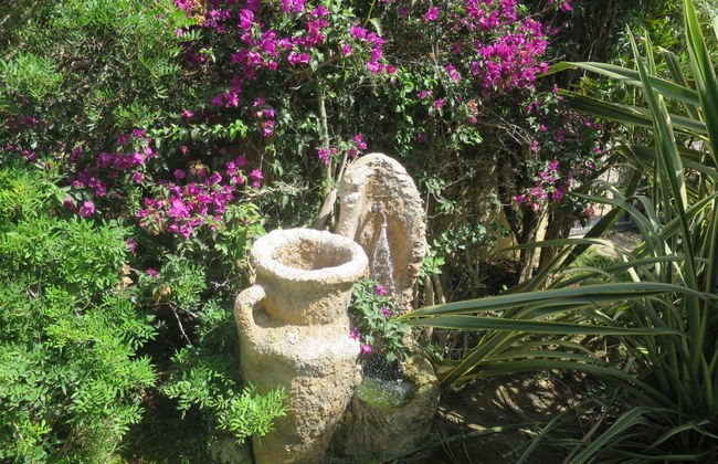 Rei Sole (REI308) - Foto 19