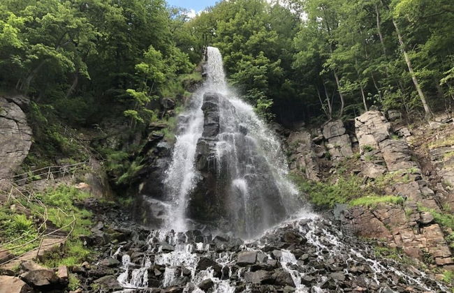 Guest House An der Truse - Foto 16