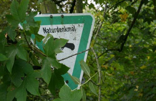 Ferienwohnungen Knodel - Foto 9