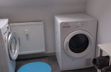 Vogelnest Riesa - Foto 13