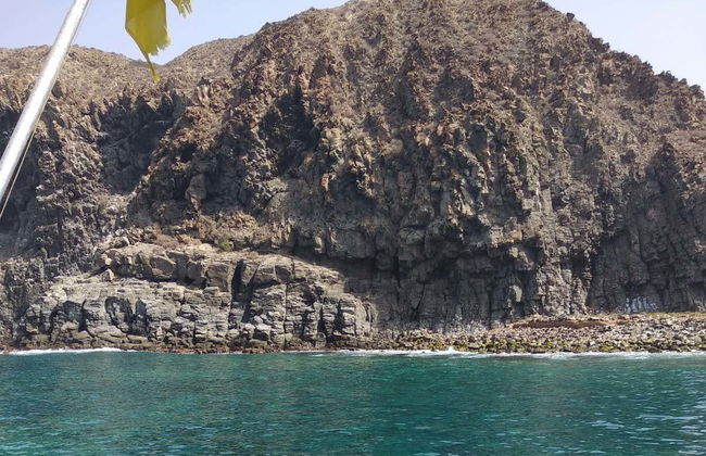 Avistamiento de cetáceos en Las Galletas - Foto 4