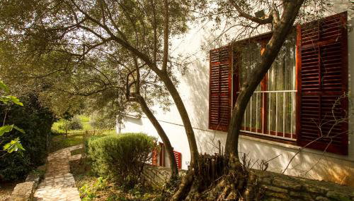 Apartments Sveta Marina - Foto 4, Garden