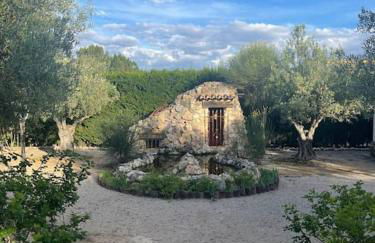 Aire Libre - Foto 21